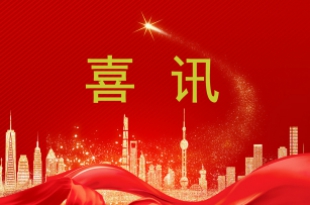 喜讯|公司获评为“上海市创新型中小企业”